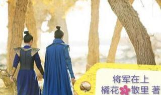 我的老婆是老大 我的老婆是老大