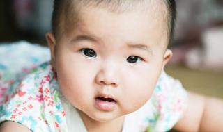 智慧的引导 智慧的引导