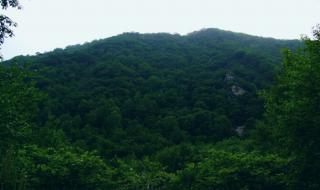 阳明山公园 阳明山公园