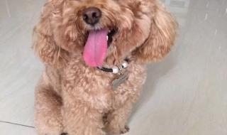 惠州大亚湾万达广场 惠州大亚湾万达广场