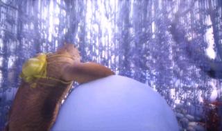 穿越时空的思念歌词 穿越时空的思念歌词