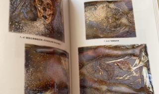 尸变图鉴变化电子版