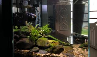 loveisover loveisover