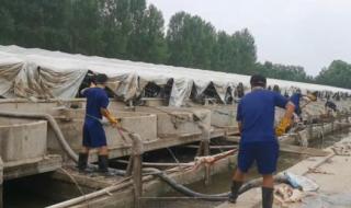 洪水退去后的涿州商家 洪水退去后的涿州商家