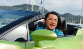 王祖蓝电影 王祖蓝电影