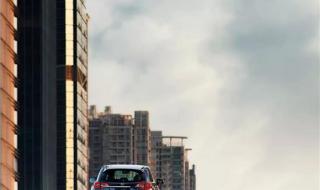 在这春暖花开的季节