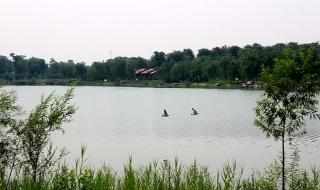 石家庄正定园博园